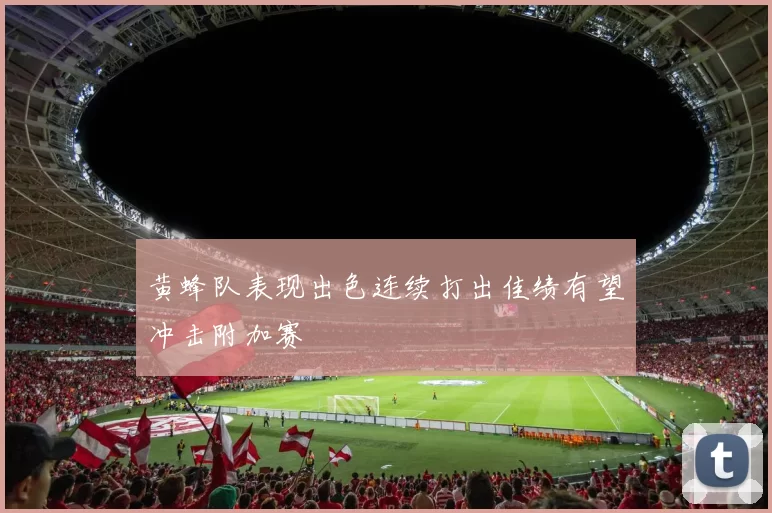 黄蜂队表现出色连续打出佳绩有望冲击附加赛